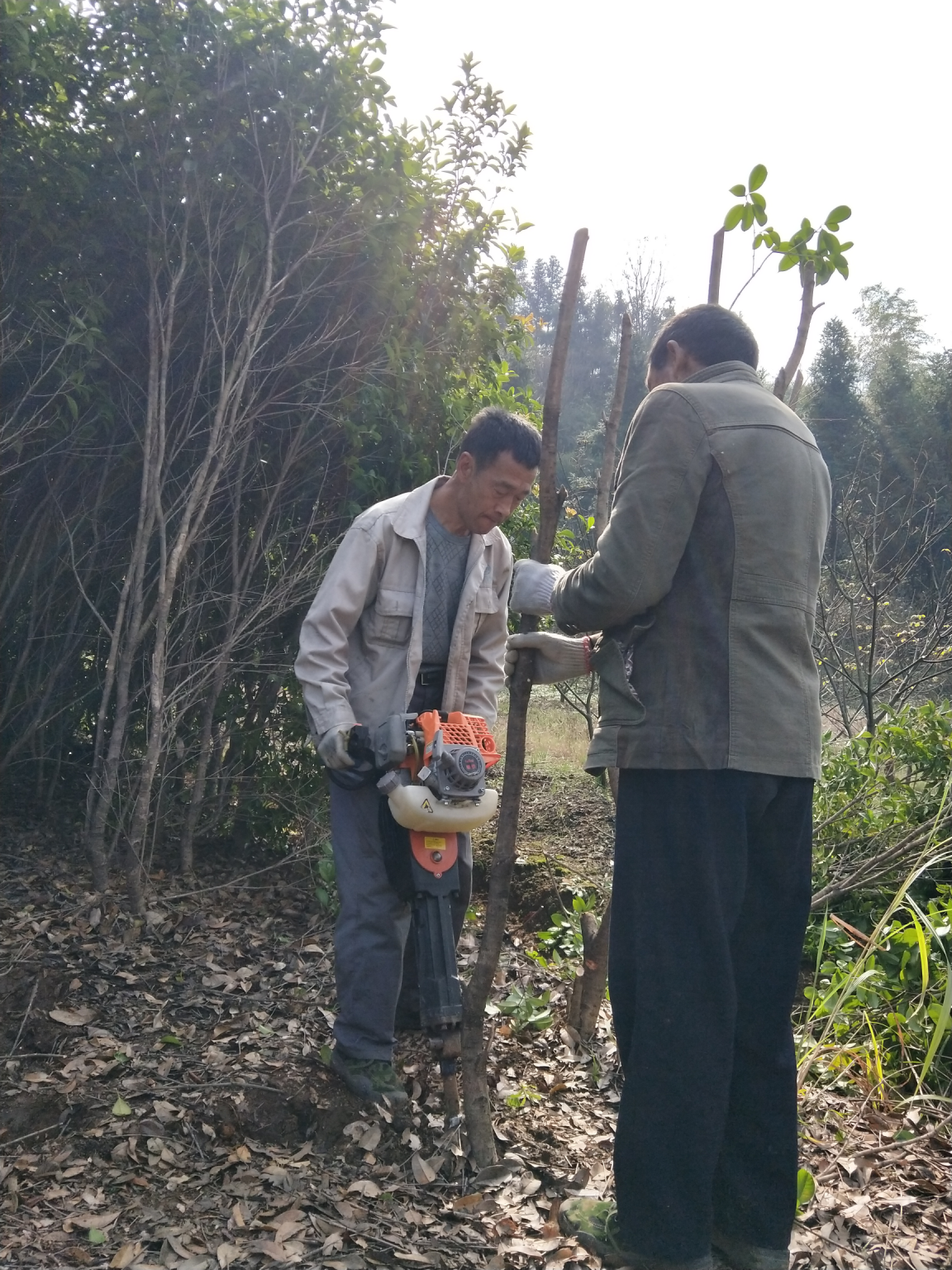 阳新县坳上村：干群结亲强产业，文明新风旺全村