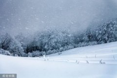 <b>今年下半年来首个暴雪预警拉响！</b>